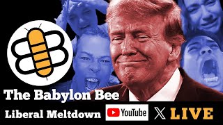 The Bee Reacts To Liberal Election Meltdowns [upl. by Sherlocke61]