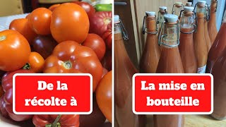 LA TOMATE  De la récolte à la mise en bouteille en FAMILLE [upl. by Ennyleuqcaj]