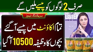 10500 Milna Shuru  BISP New Update Today  Ehsaas Program 8171  Dynamic Survey  Bachon Ka Wazifa [upl. by Ahseina]