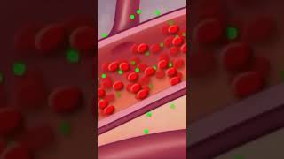 Functions of organshumanorgansystem biology cellstructure tranding video [upl. by Glynas]