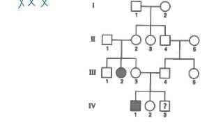 BiologieErfelijkheidxchromosomaal en stambomen [upl. by Warfeld]