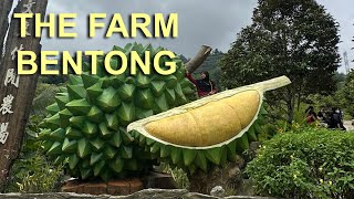 THE BENTONG FARM DESTINASI MENARIK DI BENTONG PAHANG [upl. by Leummas686]