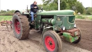 Deutz D 80  in 1964 1e Deutz 6 Zyl Traktor im einsatz [upl. by Alletnahs]