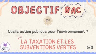 BAC Cours Environnement  La taxation et les subventions vertes [upl. by Rednasyl281]