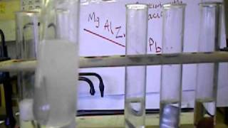 Y10 Reactivity Series Reacting metals with dilute acid  Part 1 of 2 [upl. by Lladnarc]