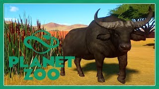 Planet Zoo African Buffalo and Gemsbok exhibit speed build [upl. by Annahvas]