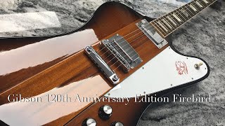 Gibson Firebird 2014 120th Anniversary Edition Demo by “Basement Bob” [upl. by Eisinger]