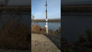 Alviso sturgeon fishing with Rock Fisher 12222 [upl. by Iris]