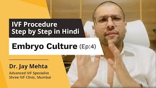 Embryo Culture amp Incubation Embryo Culture Stages IVF Procedure Step by Step in HindiDr Jay Mehta [upl. by Benil63]