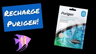 How To Recharge Seachem Purigen [upl. by Negaet32]