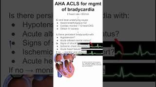 AHA ACLS for management of bradycardia [upl. by Celesta]