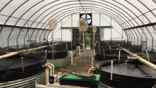 No fish tale Aquaculture entrepreneur raising 1 million pounds of trout per year [upl. by Pollie52]