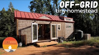 OffGrid Tiny House Homestead  Amazing DIY Timber Frame Tiny Home [upl. by Liauqram]