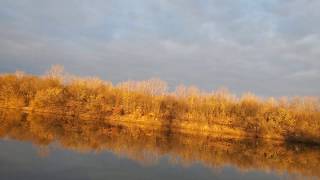 what I look for bank fishing the kaskaskia river [upl. by Mollee]