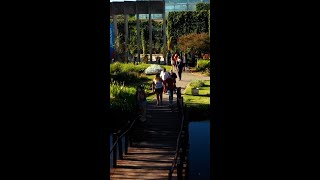 🤔 ¿Conocés el Jardín Botánico [upl. by Annaej311]