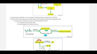 Antiparietal cell antibody by labpedianet Prof Riaz A Bhutta Urdu Hindi [upl. by Eldwin149]