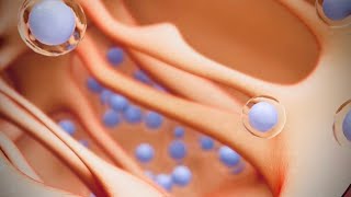 Stem Cells  Bone Marrow  Blood cells stem cells treatment enjoy and learn  medical animation [upl. by Idnahr466]