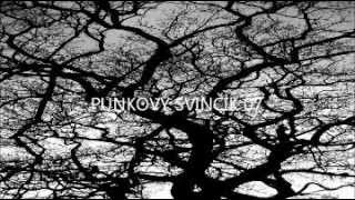 PUNKOVÝ SVINČÍK 07 [upl. by Callan]