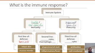 The Immune System Innate Defenses and Adaptive Defenses [upl. by Rayna457]