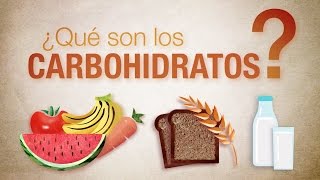 ¿Qué son los carbohidratos [upl. by Ynafets]