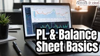 Profit amp Loss Account and Balance Sheet  How to understand [upl. by Aelam]