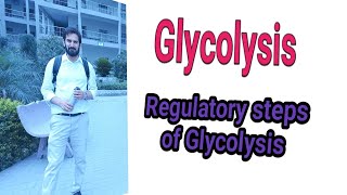 Glycolysis Regulation of Glycolysis Pathway Anaerobic vs Aerobic Glycolysis Net ATP in Glycolysis [upl. by Clayborn]