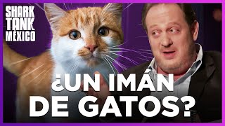 ¡El producto ideal para amantes de gatos  Shark Tank México [upl. by Goldwin]