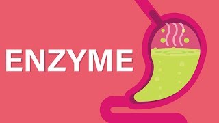 What are Enzymes [upl. by Gerson]