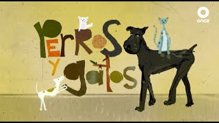 Perros y gatos I Episodio 13 I Eutanasia canina I Once Niñas y Niños [upl. by Myrtice115]