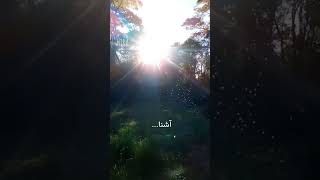 Hum k thehrey ajnabi  Nayyara Noor  Faiz Ahmed Faiz  WhatsApp Status [upl. by Avlis]