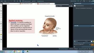 Posterior Triangle of Neck amp Sternomastoid Muscle  Dr Ahmed Farid [upl. by Ayanet]