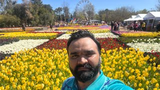 Floriade Festival Australia  Floriade  Flower  Australia  Food  Paralympic Team 🇦🇺 [upl. by Philly446]