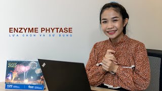 LỰA CHỌN ĐÚNG ENZYME PHYTASE DÙNG TRONG THỨC ĂN CHĂN NUÔI [upl. by Mercorr]