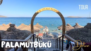 Palamutbükü Sahil Gezisi  Walking Tour Summer In Datça  Turkey Holiday Vlog [upl. by Yttig885]