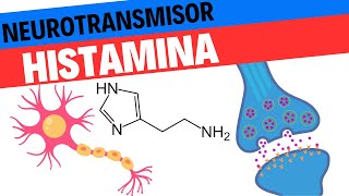 Fisiología de la HIstamina Neurociencias 14 [upl. by Moulden]