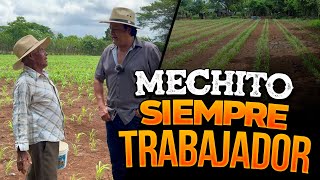 Mechito siempre trabajador 👨‍🌾 [upl. by Aramoy]