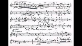 Seitz Friedrich Student Concerto No4 Op15 for violin  piano [upl. by Ttam]