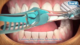 Técnica correcta para el cepillado de dientes  Oral B LT [upl. by Immat]