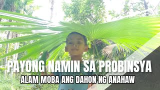 GINAWANG PAYONG NAMIN NOON ANG DAHON NG ANAHAW FULL EXPLAINED  MR KASAGPA [upl. by Lraep]