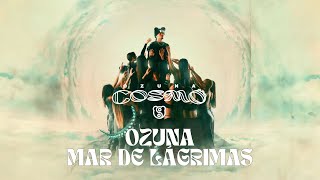 Ozuna  Mar De Lágrimas Visualizer Oficial  COSMO [upl. by Gabbie]