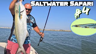 Saltwater Safari 4 These BLUEFISH were HUGE Guest Star GARFISH on Steroids 100 Topwater action [upl. by Chappie]