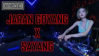 DJ REMIX JARAN GOYANG VS SAYANG 2017 TERBARU [upl. by Gere]