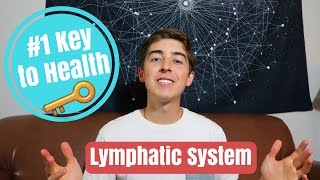 The Key to Health and Detox 🔑 Lymphatic System [upl. by Skye631]