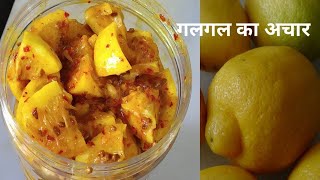 Galgal ka Aachar  Khatte ka aachar at home  Homemade Himachali aachar  Ghar ka bana hua aachar [upl. by Yrollam966]