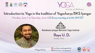 130 Yoga class by BKS Iyengar school Class 1 Yoga for Unity and Wellbeing  Heartfulness [upl. by Chelsea]