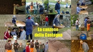 LA CANZONE DELLA CASTAGNA  Romantici Vag [upl. by Amitaf]