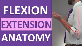 Flexion and Extension Anatomy Shoulder Hip Forearm Neck Leg Thumb Wrist Spine Finger [upl. by Joanna]