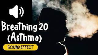 Breathing 20 Asthma Sound Effect  呼吸 20 氣喘 人類 音效 High Quality [upl. by Antebi599]