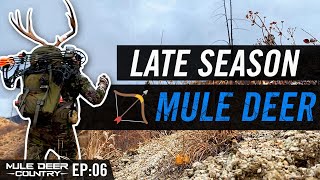 Late Season Archery Mule Deer Hunt  LIVER SHOT  MDC EP06 [upl. by Innavoj112]