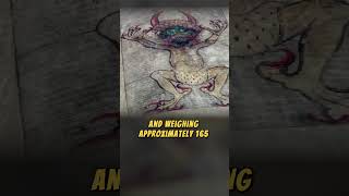 Codex Gigas codexgigas devilsbible medieval manuscripts manuscript artifacts artifact [upl. by Penland537]